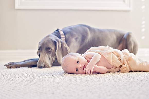 Sherry Ferrante Photography