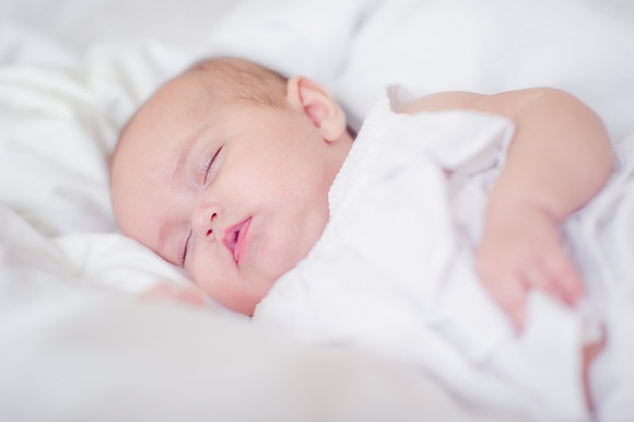Sherry Ferrante Photography