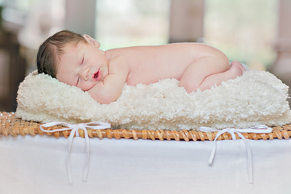 Sherry Ferrante Photography