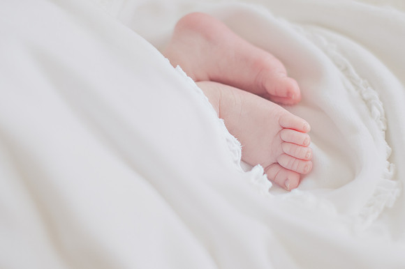 Sherry Ferrante Photography