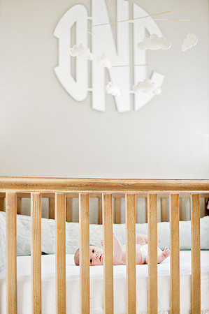 Sherry Ferrante Photography