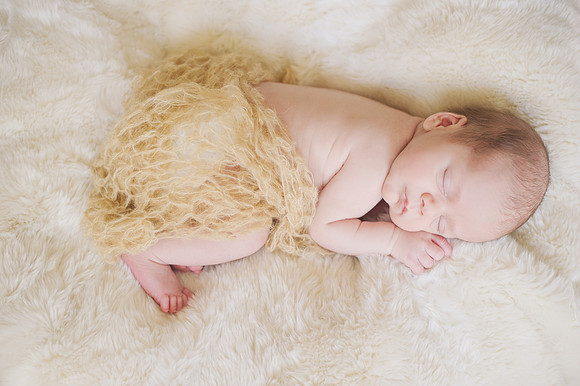 Sherry Ferrante Photography