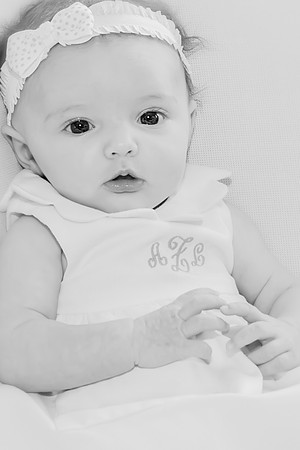 Sherry Ferrante Photography